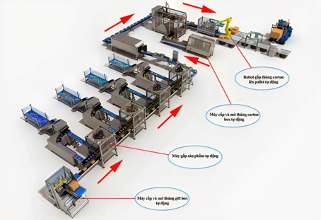 Quy trình làm việc của dây chuyền đóng hộp
